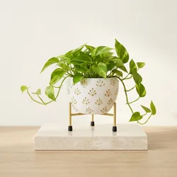Style_Your_Space_Decor__ONEAREME