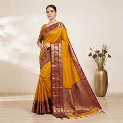 Drape_In_Grace_Festive__TAJ TEXTILES 