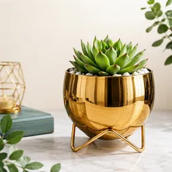 Earthy_Finds_Planters__BLOOMSHALA