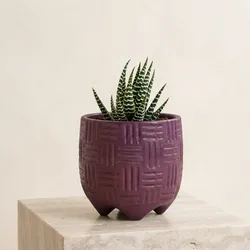 Earthy_Finds_Accents__BLOOMSHALA