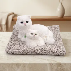 Explore_and_Play_Toys__KOORICHH