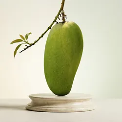Best_Nature_Picks_FLOWER_PLANT__LEAF DEN GARDEN
