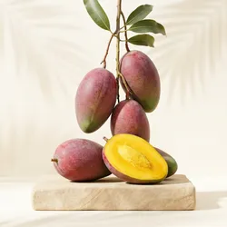 Grow_Your_Garden_Fruits__PLANT UNIVERSE