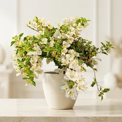 Grow_Your_Garden_Shrubs__PLANT UNIVERSE