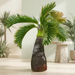 Grow_Your_Garden_Foliage__PLANT UNIVERSE