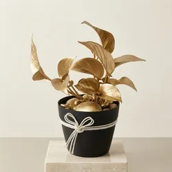 Grow_Your_Greens_Air_Purifying_Plants__LEAVE GREENS