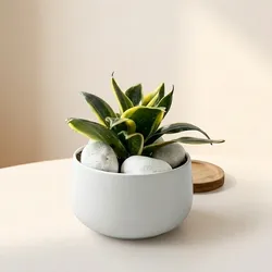 Grow_Your_Greens_Modern_Plants__LEAVE GREENS