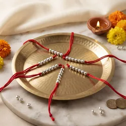 Adorn_Yourself_Silver__SHIVALI GOYAL