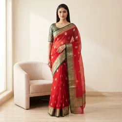 Drape_In_Silk_Organza__BANARSI RAGA