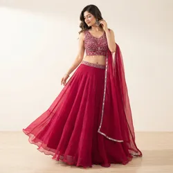 Lehenga_Edit_Embroidered__TANISH TEXTILES