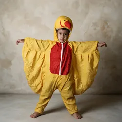 Dress_Up_&_Play_Animals__CHAUHANFANCY DRESS