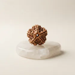 Sacred_Adornments_Beads__RUDRA SUTRAA