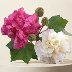 Natures_Finest_Roses__WORLD GREEN HAVEN