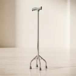 Care_Essentials_Mobility__THE HEALTHCARE CO. 