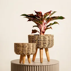Crafted_for_Home_Terracotta__ASHHAZ INTERNATIONAL INC 