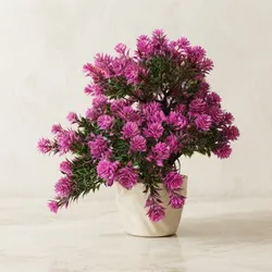 Bloom_Your_Space_Florals__REGENN