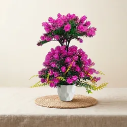Bloom_Your_Space_Plants__REGENN
