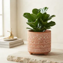 Green_Your_Space_Stylish__LITOSE 