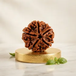 Sacred_Adornments_Rudraksha__SHIV AURA