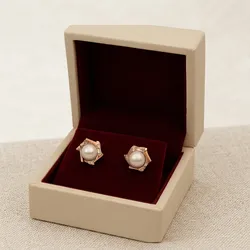 Shine_Your_Way_Earrings__AKSH JEWELLERY 