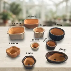 Grow_Your_Garden_Planters__GREEN PARADISE LIVE