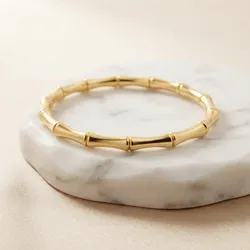 Shine_Every_Day_Bracelets__ARADHYA'S COLLECTIONS 