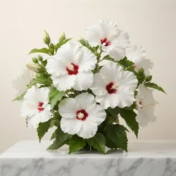 Grow_Your_Garden_Favorites__BHOWMICK STORE 