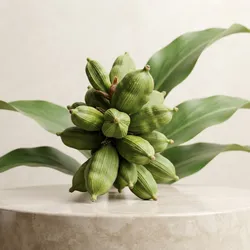 Grow_Your_Garden_Foliage__BHOWMICK STORE 