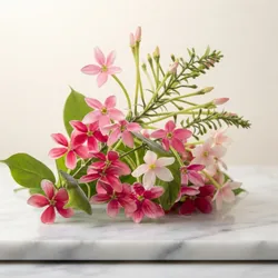 Grow_Your_Garden_Evergreens__BHOWMICK STORE 