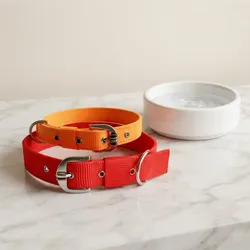Paw_Favorites_Collars__PAWEZZY
