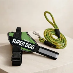 Paw_Favorites_Leashes__PAWEZZY
