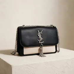 Shine_Your_Style_Bags__SWARNAYAM