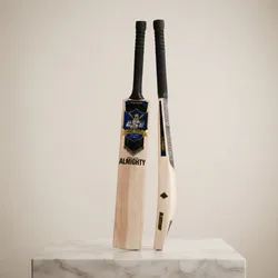 Play_Your_Best_kashmir_willow__CSU