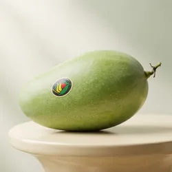 Grow_&_Explore_Mangoes__GROW PLANT