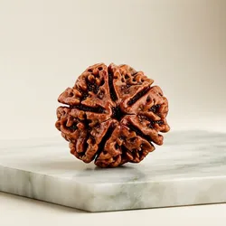 Sacred_&_Styled_Rudraksha__SHIVAIRA