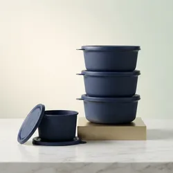 Daily_Essentials_Lunchboxes__RAJWARE