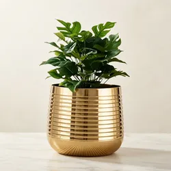 Style_Your_Space_Accents__ALFHOME