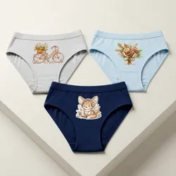 Comfort_Essentials_Underwear__EVAARA