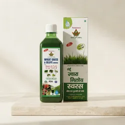 Heal_Naturally_Juices__PUNARNAVA