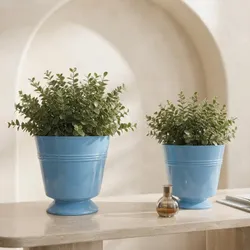 Curate_Your_Space_Pots__ADORNO CASA