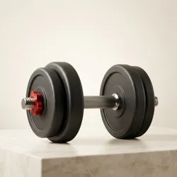 Train_Your_Best_Trending__WILORA