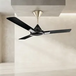 Cool_Your_Space_Decorative__CREATIVE CONCEPT INTERIORS 