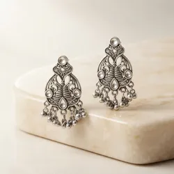 Shine_&_Adorn_Earrings__AARYA ENTERPRISE