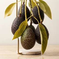 Fresh_From_Nature_Exotic__NORTH EAST GREEN ENTERPRISE