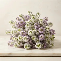 Garden_Fresh_Picks_Flowers__SPRINGFIELD