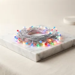 Light_Up_Life_Festive__PRICEY CURVE