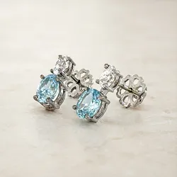 Shine_Every_Day_Earrings__SR.JOYERO
