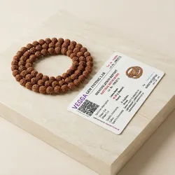 Shop_by_Category_Rudraksha_Mala__DEVSAMAGRI