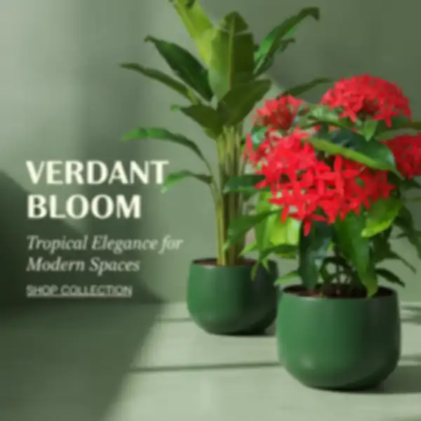 BANNER_undefined__undefined