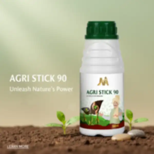 BANNER_undefined__undefined